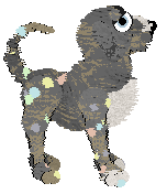 Grey and brown mutt with pastel rainbow colored spots posing facing the right.
